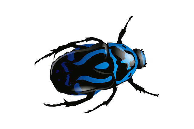 Bed Bugs Control Newcastle
