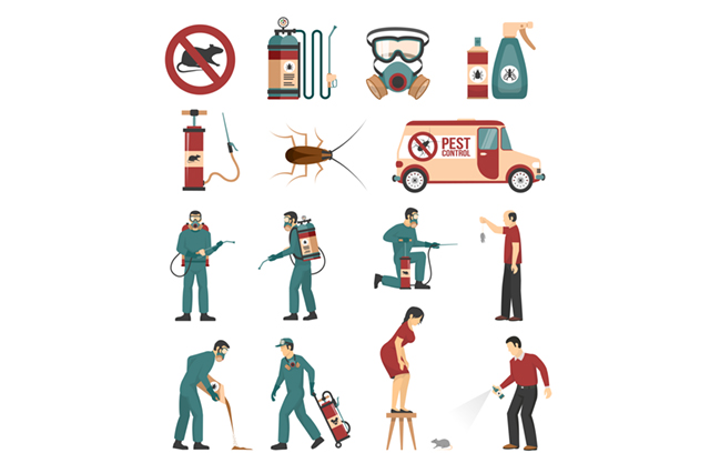 Lake Macquarie Pest Control | Rodent & Termite Control Lake Macquarie