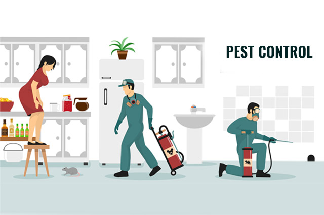 Pest Control Cessnock Pest Control Cessnock | Lake Macquarie