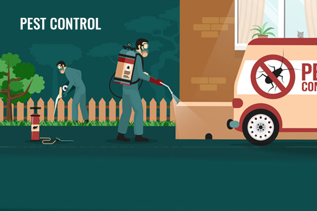 Pest Control Cessnock Pest Control Cessnock